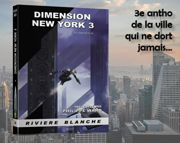 Dimension New York 3