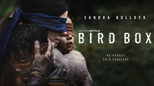 Bird Box